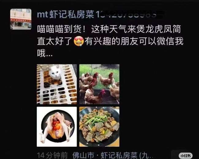 佛山一私房菜馆被曝宰杀活猫