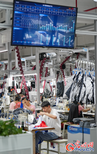 从“梯航万国”到数字潮涌,刺桐港数智向未来 从“梯航万国”到数字潮涌,刺桐港数智向未来