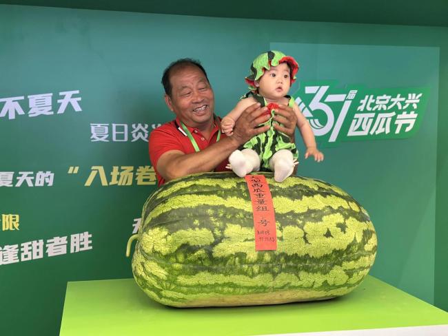 今年“瓜王”重达97.75公斤
