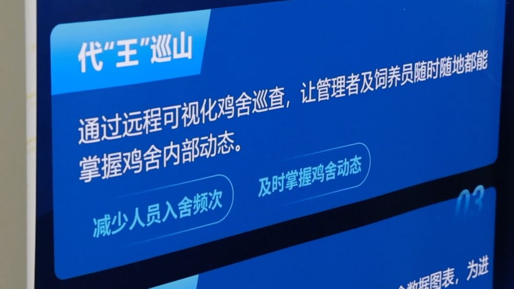 新华视点｜数智赋能 中小民营企业提“质”而上