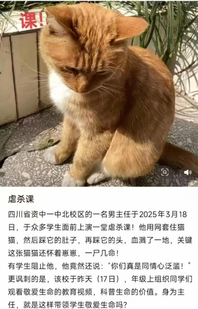 教体局调查中学老师当学生面杀猫 校方深感歉意将开设心理疏导课
