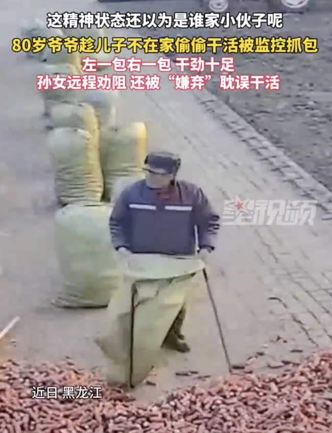 80岁爷爷偷偷干活被抓包
