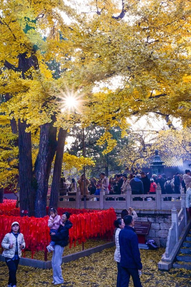 初冬京郊斑斓画卷徐徐展开