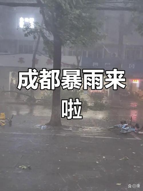 成都高架行船