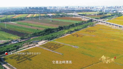 你好,双拥城|留在石河子 你好,双拥城|留在石河子