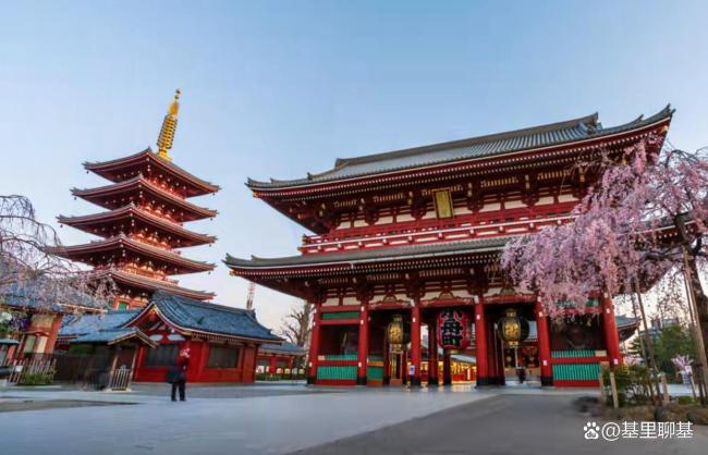 日本的中亚战略为何推进不顺利