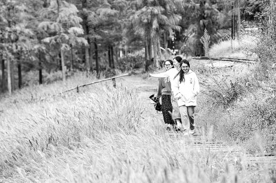 农文旅融合助力乡村振兴