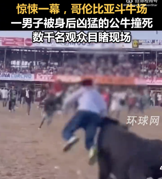 哥伦比亚斗牛场一男子被公牛撞死