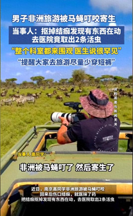 男生旅游被马蝇咬后有虫子寄生