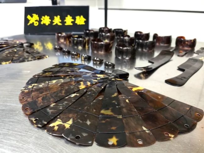五彩斑斓的黑!深圳湾海关查获濒危玳瑁制品26件