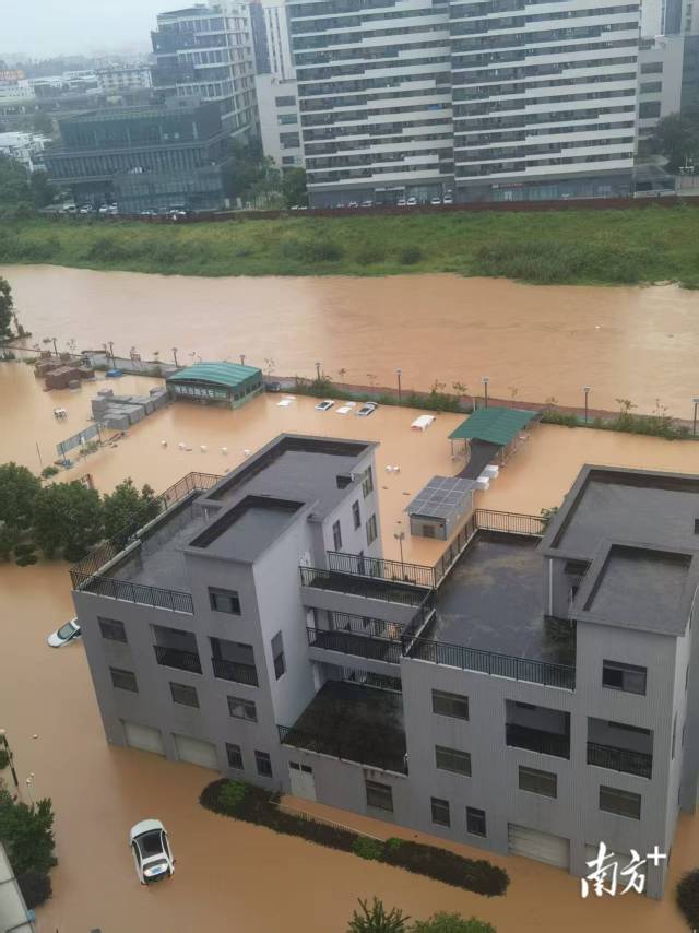  南方拍客 官小群 供图