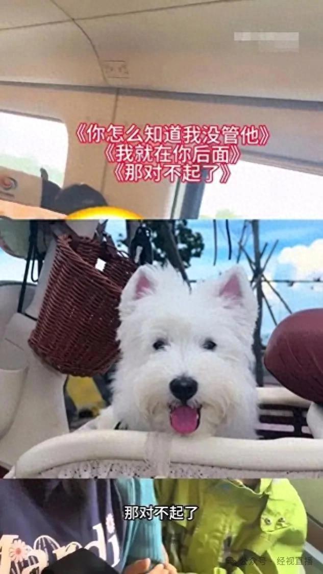 网友建议高铁设带娃车厢 回应