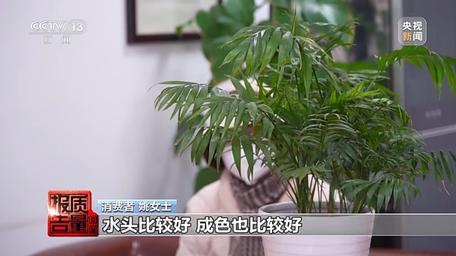 5888元翡翠成本只有20多元 警惕玉石直播间陷阱