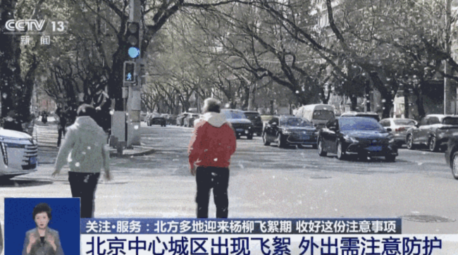 毛毛毛人毛毛毛