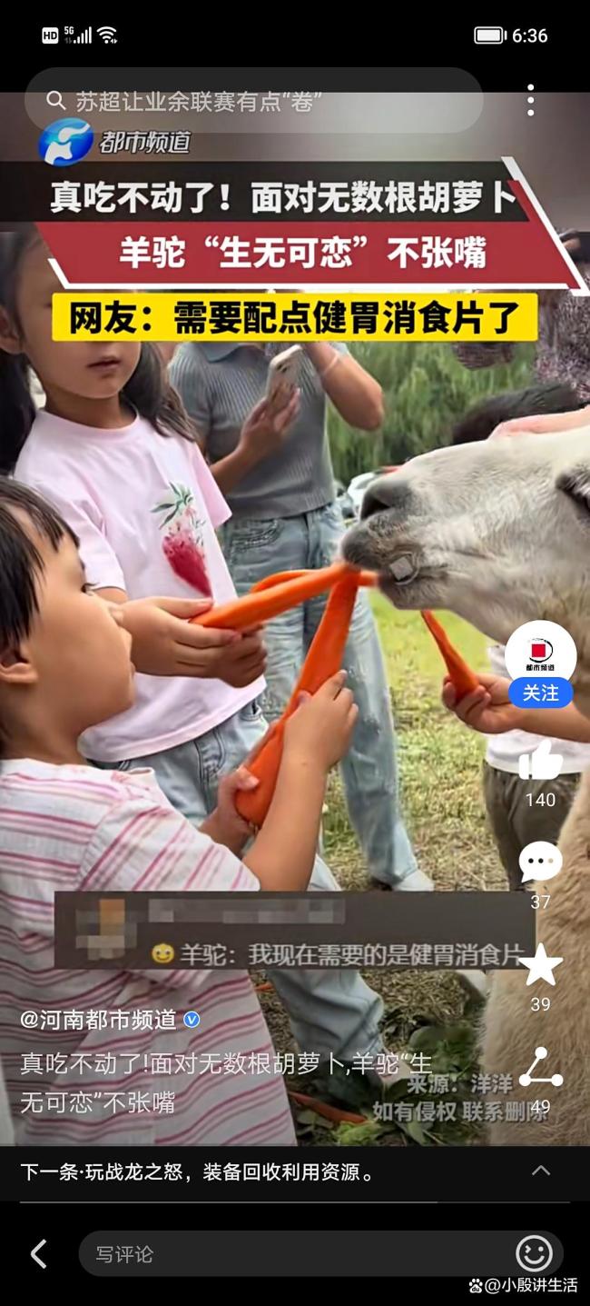 动物园回应羊驼不张嘴是吃撑了