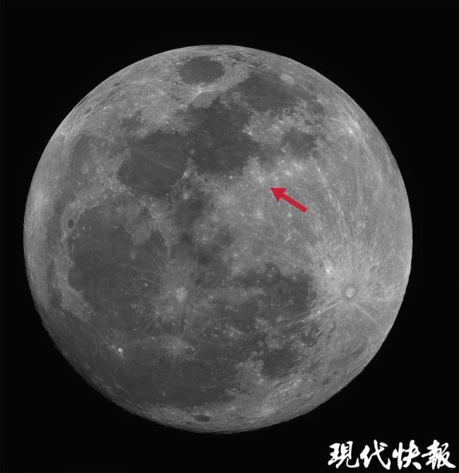 月球表面藏着个“动物园”