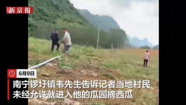 媒体人评村民哄抢瓜田：太丢人了
