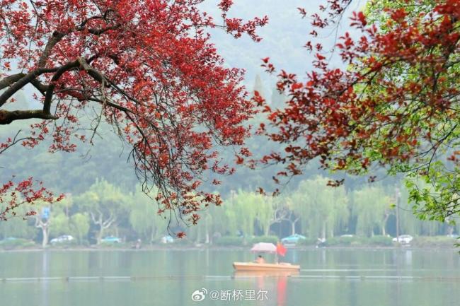 出门请带伞,今天浙江有大范围降雨