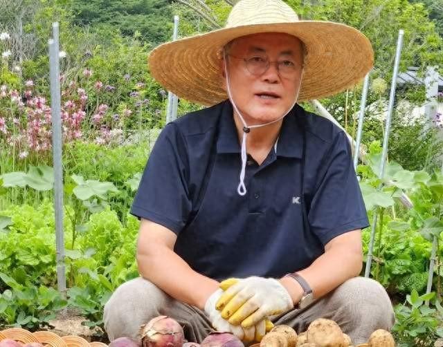 韩国政府能成功扳倒文在寅吗