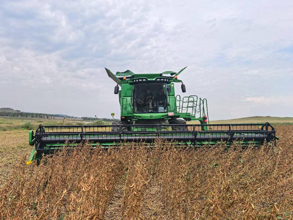 新华全媒+丨丰收在望 各地多举措抓好秋粮生产