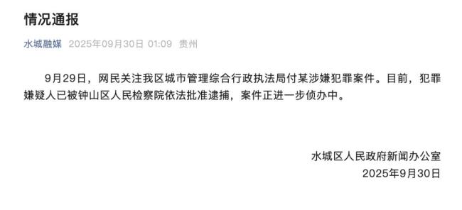 官方回应城管局副局长涉性侵案被抓