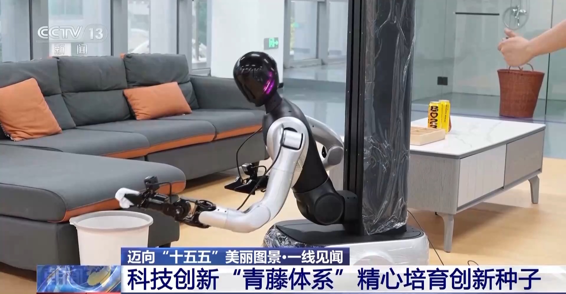 顺藤摸瓜!深圳“科创青藤成果转化服务体系”赋能硬科技转化