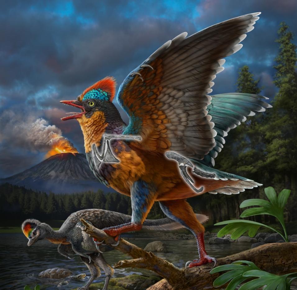 科学与健康|改写生命演化史！2025我国古生物学研究在多领域取得突破