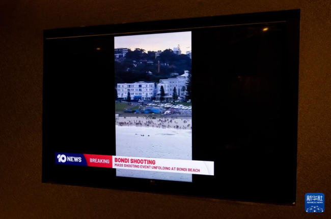 大屠杀幸存者在悉尼枪击案中弹身亡