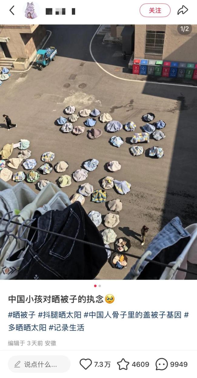 论中国小孩对晒被子的执念