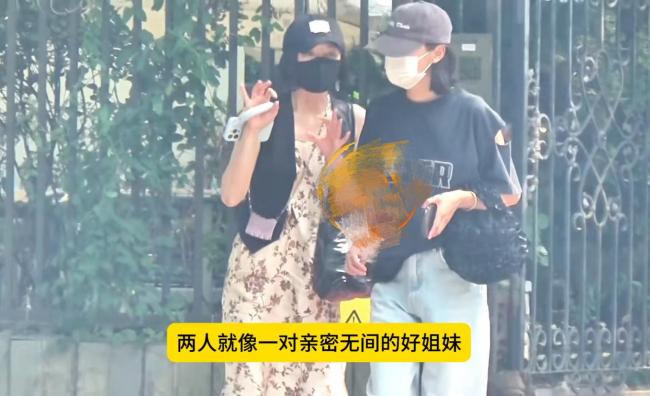 辛芷蕾秦岚挽手散步