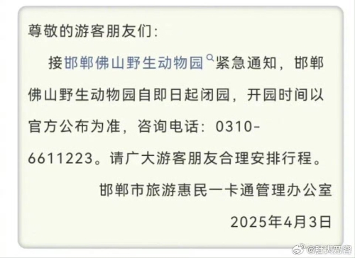 涉事动物园在走失熊后要紧急闭园。微博＠肚大乃容