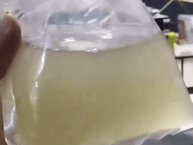 网购50条鱼只收到水 店家:鱼化了