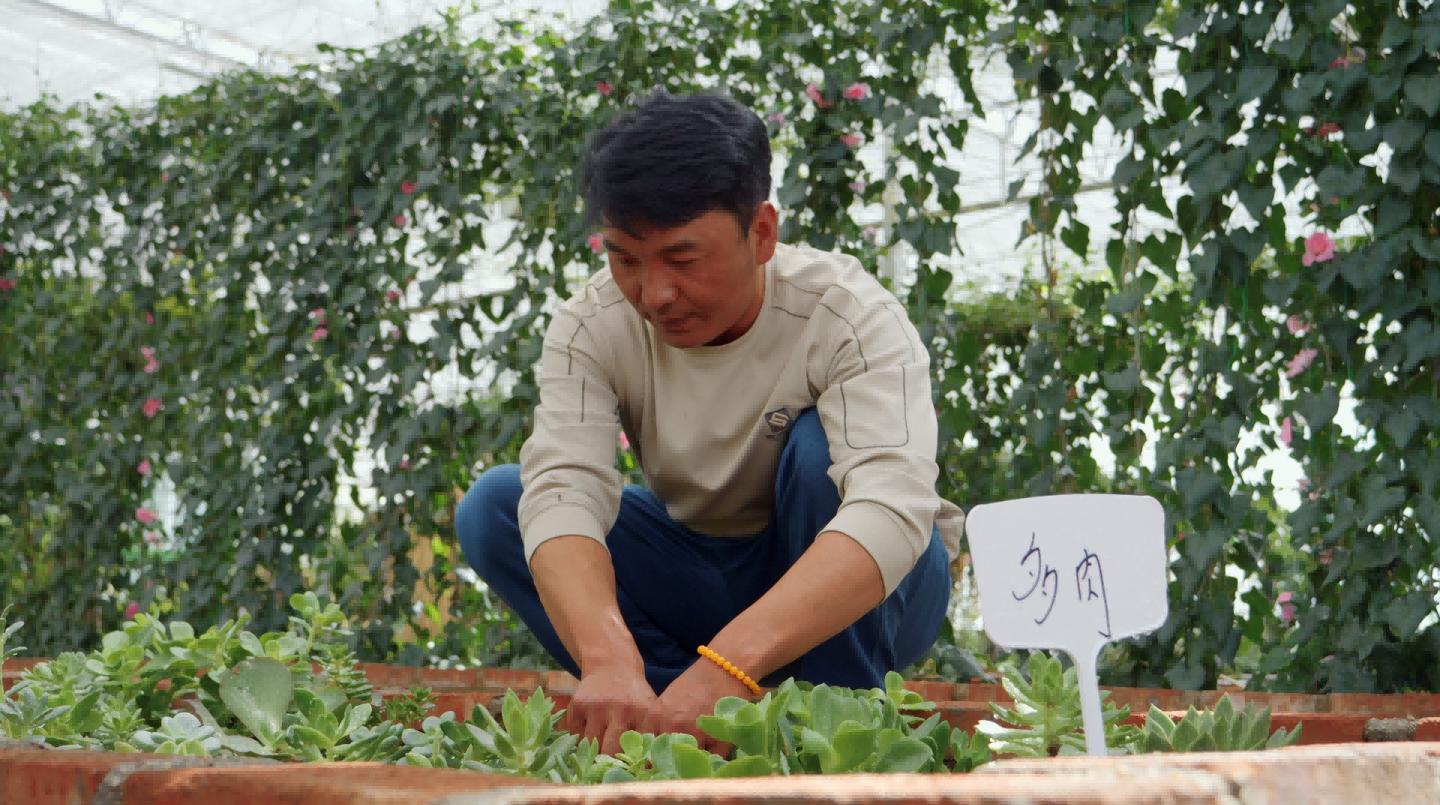 辉煌60年·我们的家园|高原上的 辉煌60年·我们的家园|高原上的