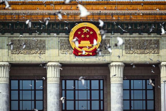 20只鸽子参加阅兵5只没回家