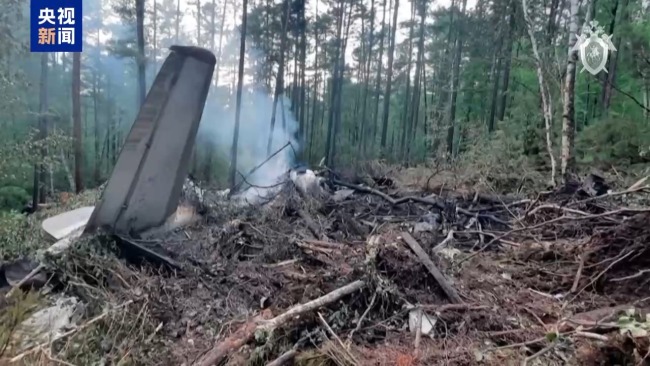 两次降落失败 俄客机坠毁密林更多细节曝光