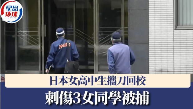 校园暴力 校园暴力