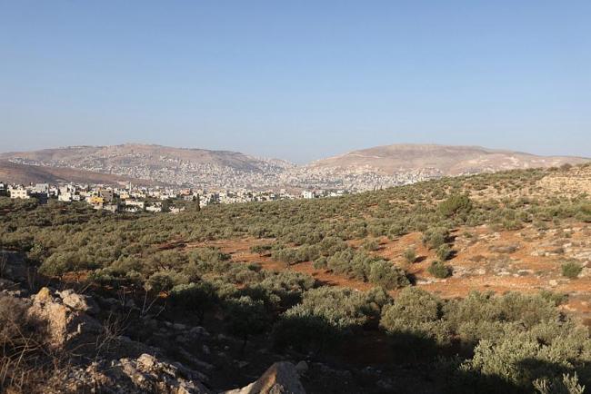 巴勒斯坦谴责以色列定居者暴力行为