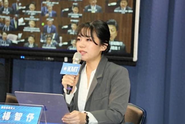 绿营要建辟谣平台?国民党批不知悔改