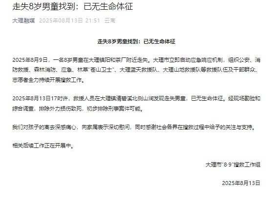 苍山走失8岁男童死因公布