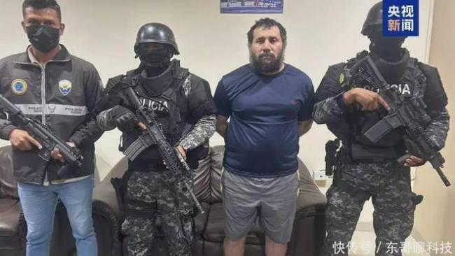 德国和厄瓜多尔政要遇袭原因