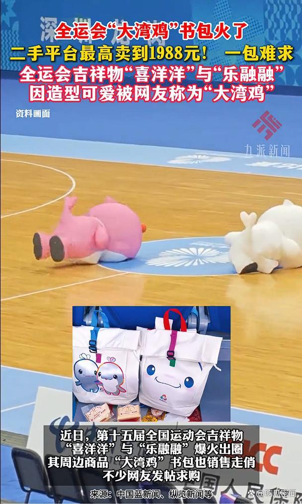 大湾鸡背书包扫街