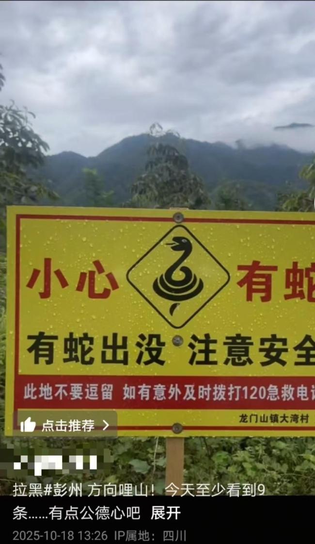 当地回应一村疑有人放生毒蛇