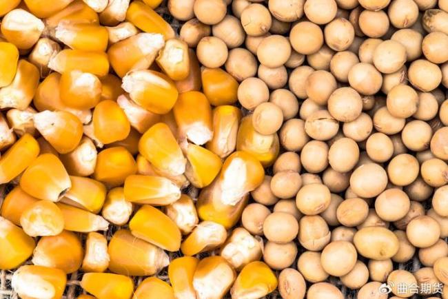 巴西大豆收获面积达87%