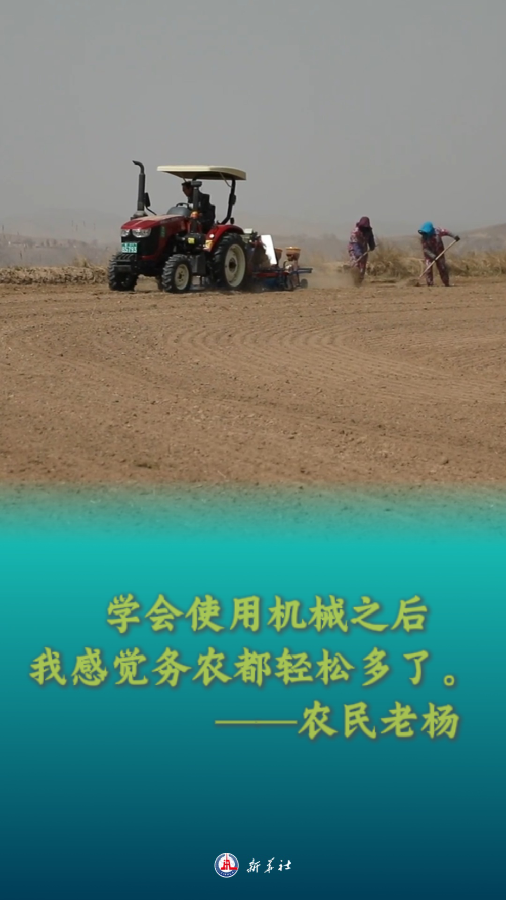 田间地头的他们|农民老杨为什么坚守? 田间地头的他们|农民老杨为什么坚守?