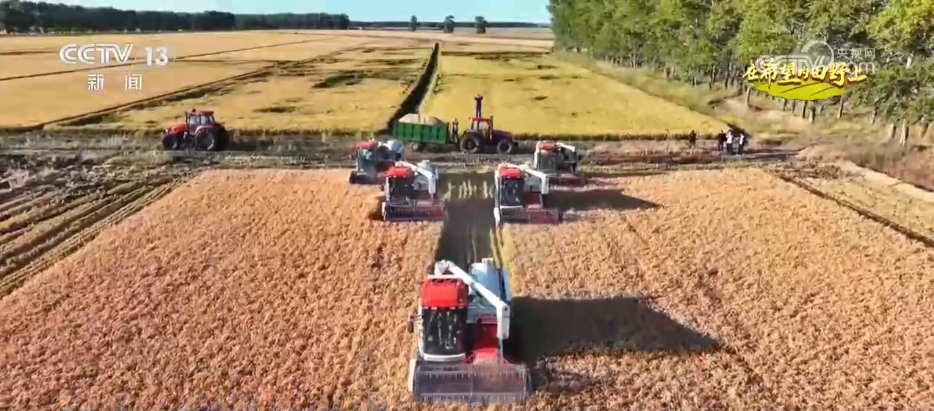 希望的田野“丰”光美 “订单农业”托起农户“稳稳的幸福”