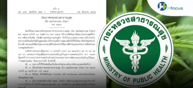 泰大麻合法化三年为何又收紧