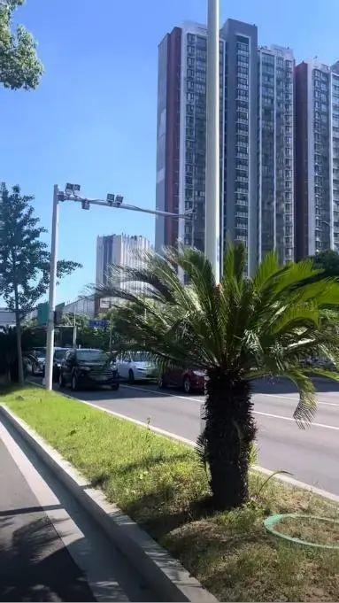 交警:车辆避晒式等红灯违法