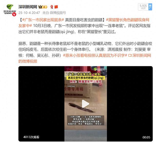 广州一市民家中惊现鼠条