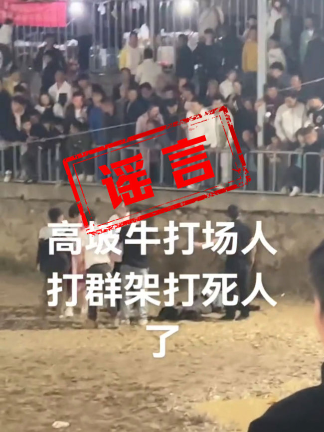 官方辟谣斗牛比赛现场冲突致人死亡