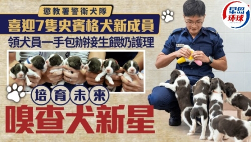 惩教署警卫犬队